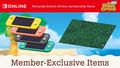 Nintendo Switch Online - Member-Exclusive Items