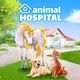 Animal Hospital