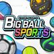 BIG BALL SPORTS