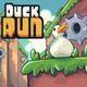 Duck Run