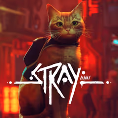 Stray
