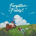Forgotten Fields