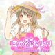 Love Blossoms News／愛の花だより