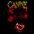 Canine