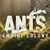 Ants Empire Colony