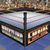 Wrestling Empire