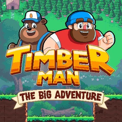 timberman the big adventure switch